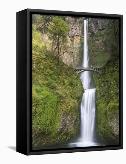 Multnomah Falls, Columbia Gorge National Scenic Area, Oregon, USA-Chuck Haney-Framed Stretched Canvas