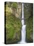 Multnomah Falls, Columbia Gorge National Scenic Area, Oregon, USA-Chuck Haney-Stretched Canvas