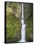 Multnomah Falls, Columbia Gorge National Scenic Area, Oregon, USA-Chuck Haney-Framed Stretched Canvas
