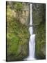 Multnomah Falls, Columbia Gorge National Scenic Area, Oregon, USA-Chuck Haney-Stretched Canvas