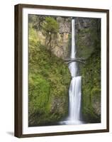 Multnomah Falls, Columbia Gorge National Scenic Area, Oregon, USA-Chuck Haney-Framed Premium Photographic Print