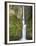 Multnomah Falls, Columbia Gorge National Scenic Area, Oregon, USA-Chuck Haney-Framed Premium Photographic Print