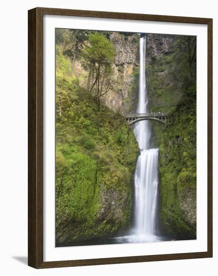 Multnomah Falls, Columbia Gorge National Scenic Area, Oregon, USA-Chuck Haney-Framed Premium Photographic Print