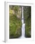 Multnomah Falls, Columbia Gorge National Scenic Area, Oregon, USA-Chuck Haney-Framed Premium Photographic Print