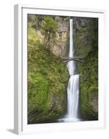 Multnomah Falls, Columbia Gorge National Scenic Area, Oregon, USA-Chuck Haney-Framed Premium Photographic Print