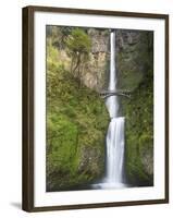 Multnomah Falls, Columbia Gorge National Scenic Area, Oregon, USA-Chuck Haney-Framed Premium Photographic Print