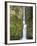 Multnomah Falls, Columbia Gorge National Scenic Area, Oregon, USA-Chuck Haney-Framed Premium Photographic Print