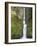 Multnomah Falls, Columbia Gorge National Scenic Area, Oregon, USA-Chuck Haney-Framed Photographic Print