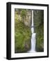 Multnomah Falls, Columbia Gorge National Scenic Area, Oregon, USA-Chuck Haney-Framed Photographic Print