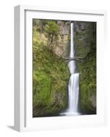 Multnomah Falls, Columbia Gorge National Scenic Area, Oregon, USA-Chuck Haney-Framed Photographic Print