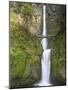 Multnomah Falls, Columbia Gorge National Scenic Area, Oregon, USA-Chuck Haney-Mounted Photographic Print