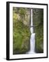 Multnomah Falls, Columbia Gorge National Scenic Area, Oregon, USA-Chuck Haney-Framed Photographic Print