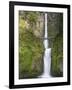 Multnomah Falls, Columbia Gorge National Scenic Area, Oregon, USA-Chuck Haney-Framed Photographic Print