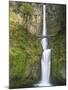 Multnomah Falls, Columbia Gorge National Scenic Area, Oregon, USA-Chuck Haney-Mounted Photographic Print