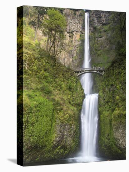 Multnomah Falls, Columbia Gorge National Scenic Area, Oregon, USA-Chuck Haney-Stretched Canvas