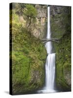 Multnomah Falls, Columbia Gorge National Scenic Area, Oregon, USA-Chuck Haney-Stretched Canvas