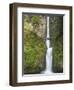 Multnomah Falls, Columbia Gorge National Scenic Area, Oregon, USA-Chuck Haney-Framed Photographic Print