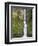 Multnomah Falls, Columbia Gorge National Scenic Area, Oregon, USA-Chuck Haney-Framed Photographic Print