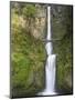 Multnomah Falls, Columbia Gorge National Scenic Area, Oregon, USA-Chuck Haney-Mounted Photographic Print