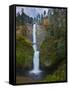 Multnomah Falls, Columbia Gorge, Oregon, USA-Gary Luhm-Framed Stretched Canvas