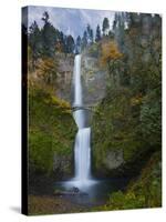 Multnomah Falls, Columbia Gorge, Oregon, USA-Gary Luhm-Stretched Canvas