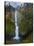 Multnomah Falls, Columbia Gorge, Oregon, USA-Gary Luhm-Stretched Canvas