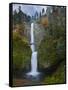 Multnomah Falls, Columbia Gorge, Oregon, USA-Gary Luhm-Framed Stretched Canvas
