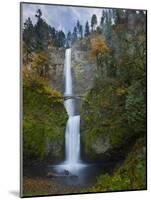 Multnomah Falls, Columbia Gorge, Oregon, USA-Gary Luhm-Mounted Photographic Print