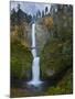 Multnomah Falls, Columbia Gorge, Oregon, USA-Gary Luhm-Mounted Photographic Print