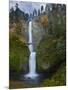 Multnomah Falls, Columbia Gorge, Oregon, USA-Gary Luhm-Mounted Photographic Print