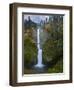 Multnomah Falls, Columbia Gorge, Oregon, USA-Gary Luhm-Framed Photographic Print