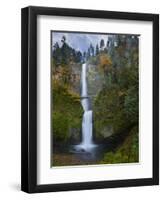 Multnomah Falls, Columbia Gorge, Oregon, USA-Gary Luhm-Framed Photographic Print