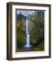 Multnomah Falls, Columbia Gorge, Oregon, USA-Gary Luhm-Framed Premium Photographic Print