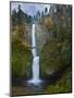 Multnomah Falls, Columbia Gorge, Oregon, USA-Gary Luhm-Mounted Premium Photographic Print