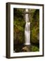 Multnomah Falls, Columbia River Gorge, Oregon, USA-Jaynes Gallery-Framed Photographic Print