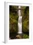 Multnomah Falls, Columbia River Gorge, Oregon, USA-Jaynes Gallery-Framed Photographic Print