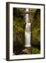 Multnomah Falls, Columbia River Gorge, Oregon, USA-Jaynes Gallery-Framed Photographic Print