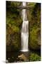 Multnomah Falls, Columbia River Gorge, Oregon, USA-Jaynes Gallery-Mounted Photographic Print