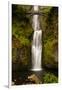 Multnomah Falls, Columbia River Gorge, Oregon, USA-Jaynes Gallery-Framed Photographic Print