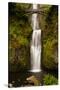 Multnomah Falls, Columbia River Gorge, Oregon, USA-Jaynes Gallery-Stretched Canvas