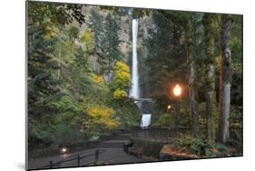 Multnomah Falls, Columbia River Gorge, Oregon, USA-Jaynes Gallery-Mounted Photographic Print