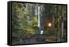 Multnomah Falls, Columbia River Gorge, Oregon, USA-Jaynes Gallery-Framed Stretched Canvas