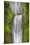 Multnomah Falls, Columbia River Gorge, Oregon-Adam Jones-Stretched Canvas
