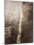 Multnomah Falls, Columbia River, Oregon, 2500 feet., 1867-Carleton Watkins-Mounted Art Print