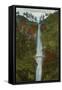 Multnomah Falls, Columbia River, Oregon-null-Framed Stretched Canvas