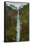 Multnomah Falls, Columbia River, Oregon-null-Framed Stretched Canvas