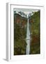 Multnomah Falls, Columbia River, Oregon-null-Framed Art Print