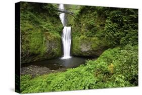 Multnomah Falls, in Columbia River Gorge National Scenic Area, Oregon-Craig Tuttle-Stretched Canvas