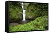 Multnomah Falls, in Columbia River Gorge National Scenic Area, Oregon-Craig Tuttle-Framed Stretched Canvas