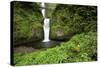 Multnomah Falls, in Columbia River Gorge National Scenic Area, Oregon-Craig Tuttle-Stretched Canvas